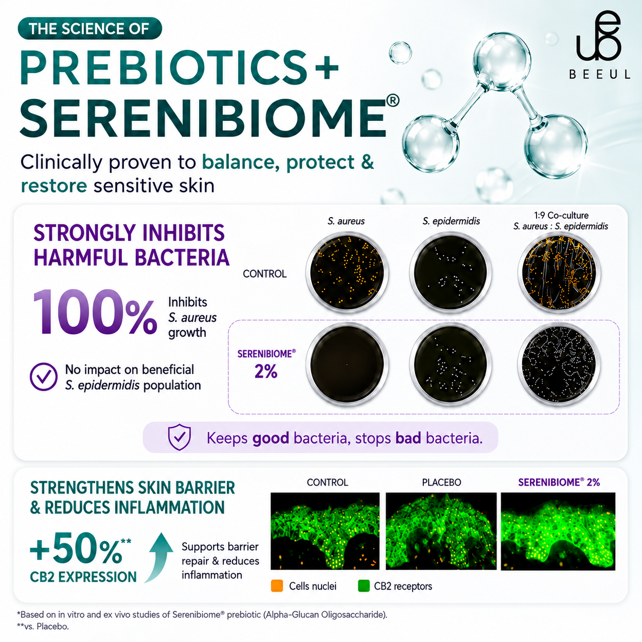 The science of Serenibiome® prebiotic — clinical testing poster showing bacteria inhibition and skin barrier support results